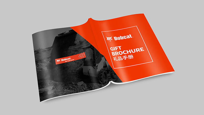 斗山山貓 斗山山貓